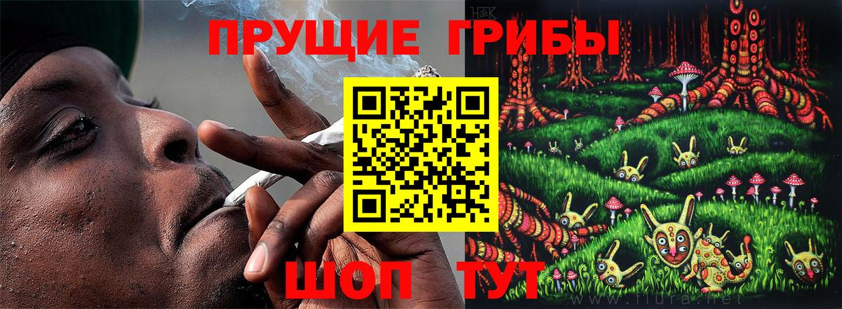 Славянск-на-Кубани  купить   Вход с VPN  Галлюциногенные грибы Psilocybe 